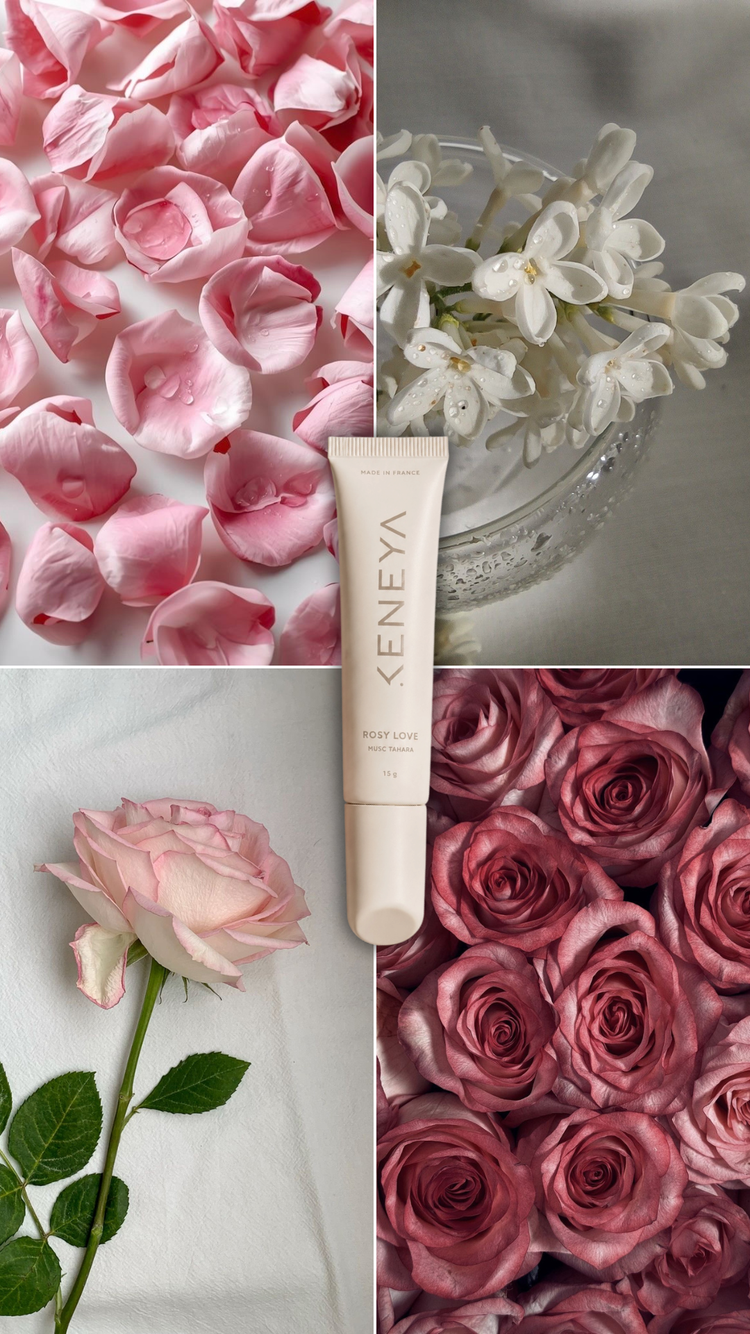 ROSY LOVE